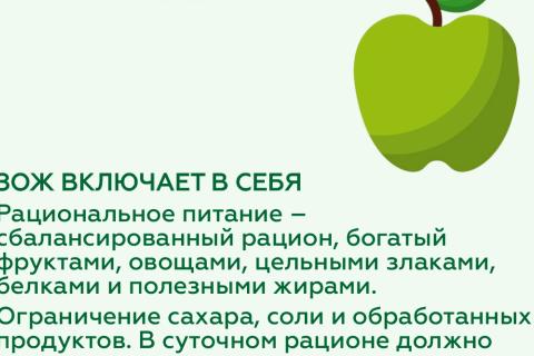 рациональное питание